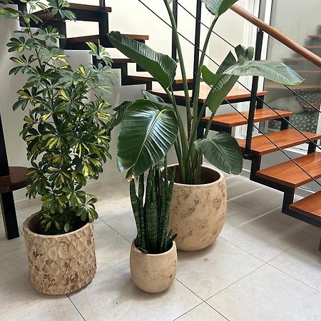Stunning 2 Bedroom Duplex Close To Main Beach With Seaviews Puerto del Carmen  Ngoại thất bức ảnh