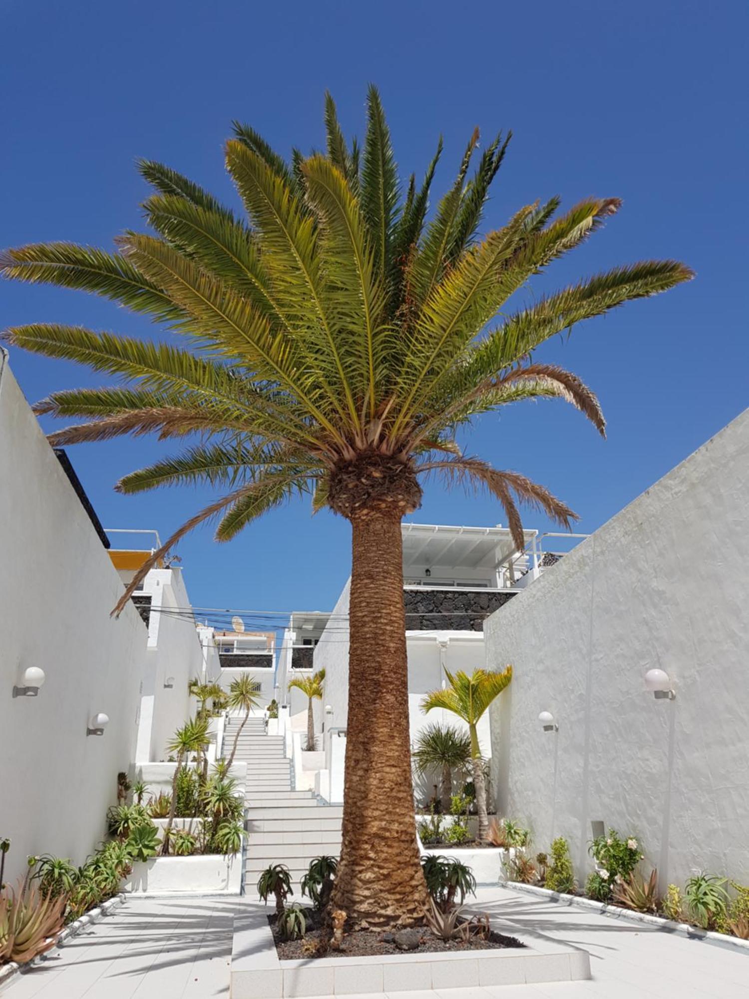 Stunning 2 Bedroom Duplex Close To Main Beach With Seaviews Puerto del Carmen  Ngoại thất bức ảnh
